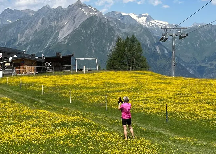 Alp-partements Mattersberger * Matrei in Osttirol